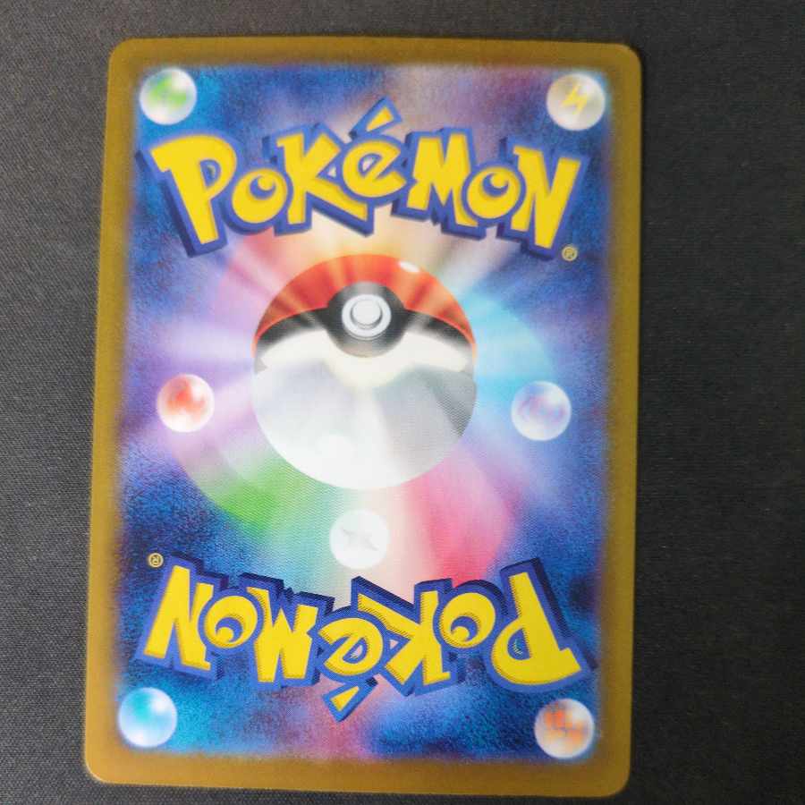 カキツバタ SAR 229/187