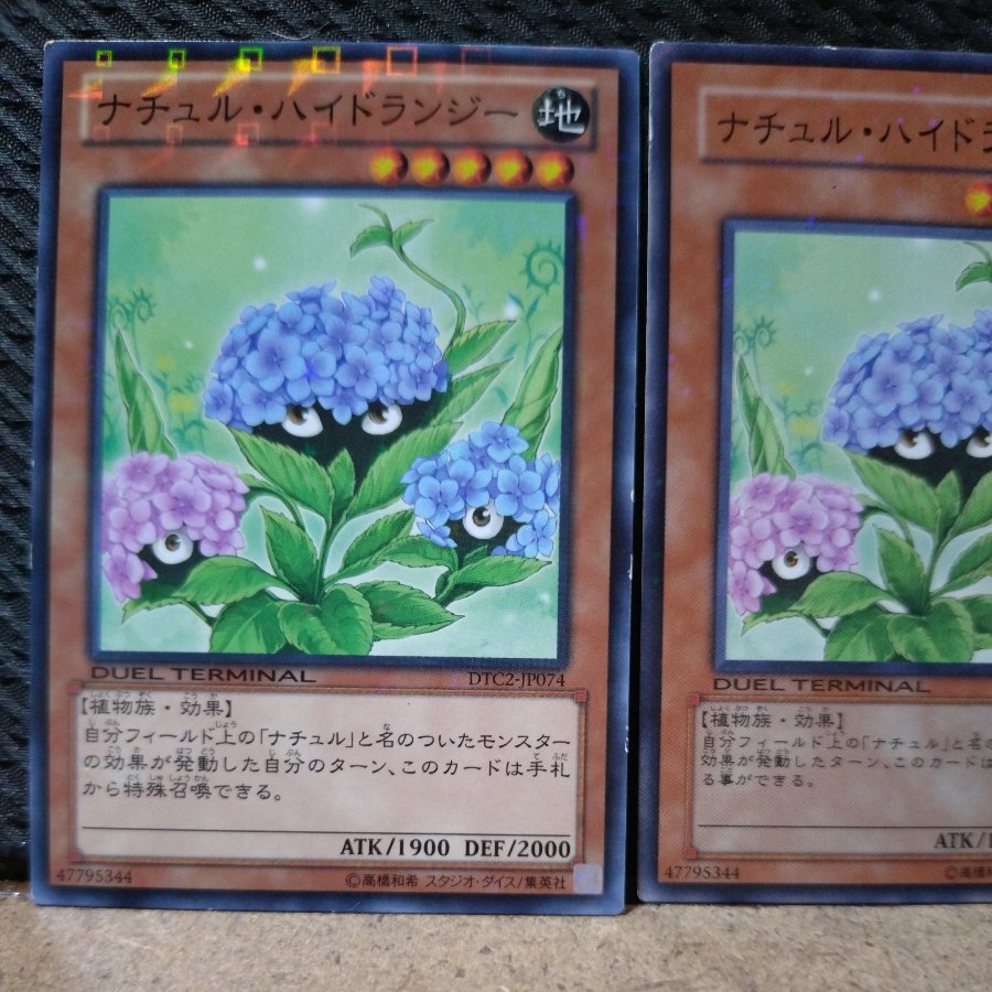 【ぽぽたん】遊戯王  2245  ナチュル・ハイドランジー   ノーマル  ２枚 2枚