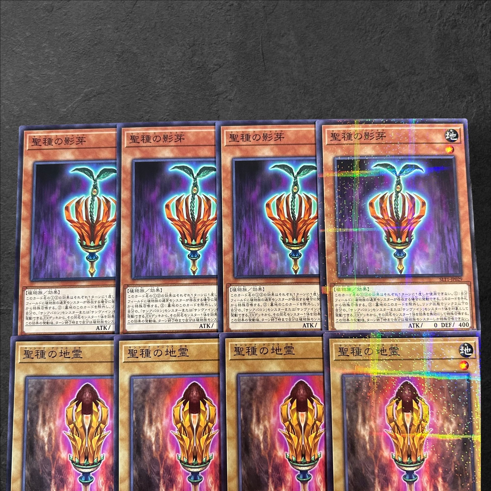 a801【遊戯王】聖種の影芽　聖種の地霊　各4枚8枚セット