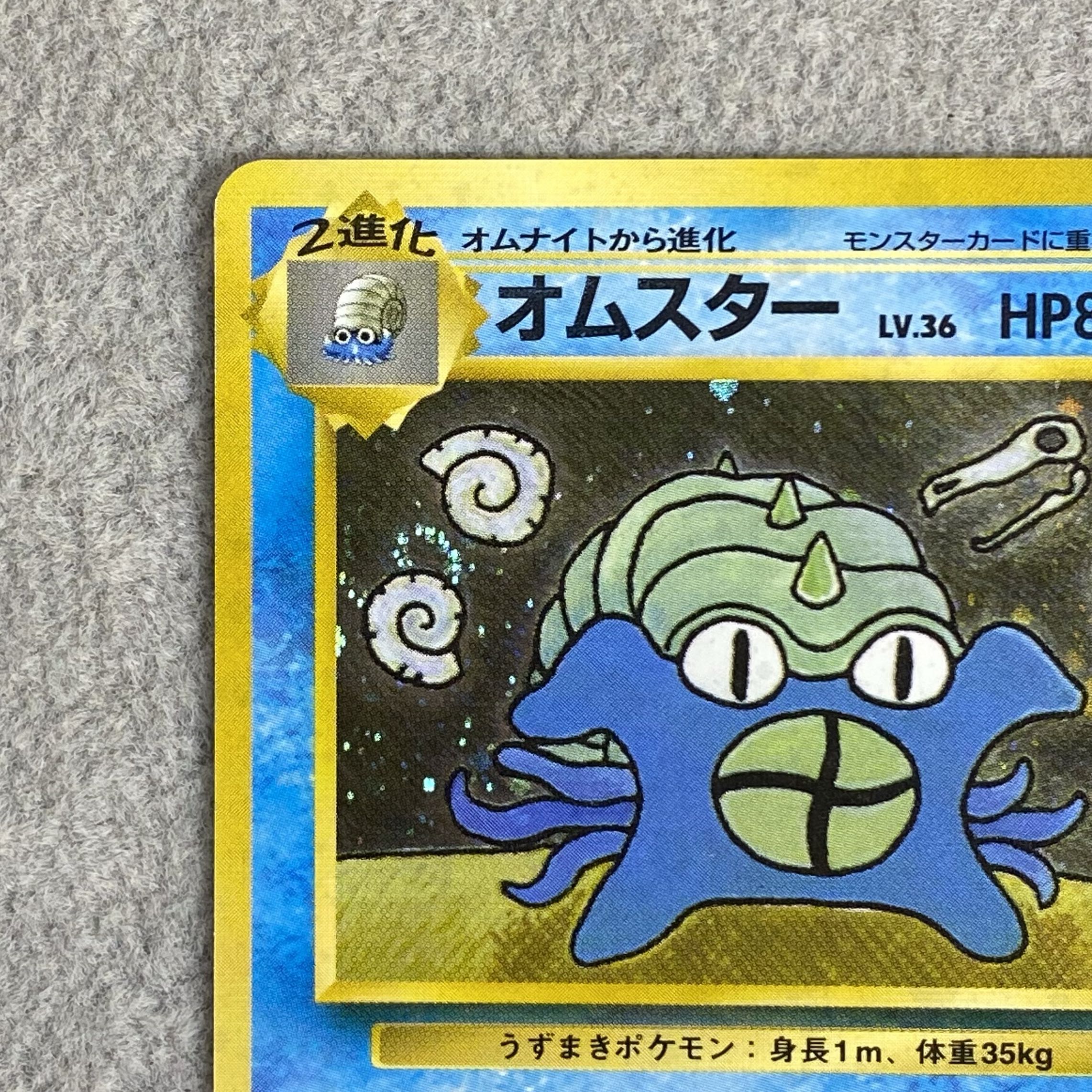 オムスター 通信進化キャンペーン 旧裏 PROMO 1枚