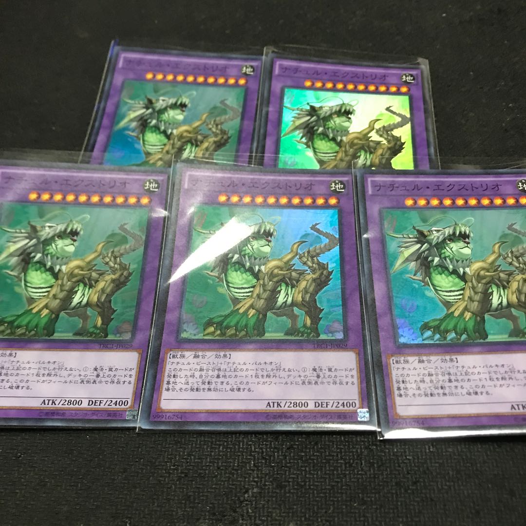 ナチュル・エクストリオ スーパーレア JP029 1枚