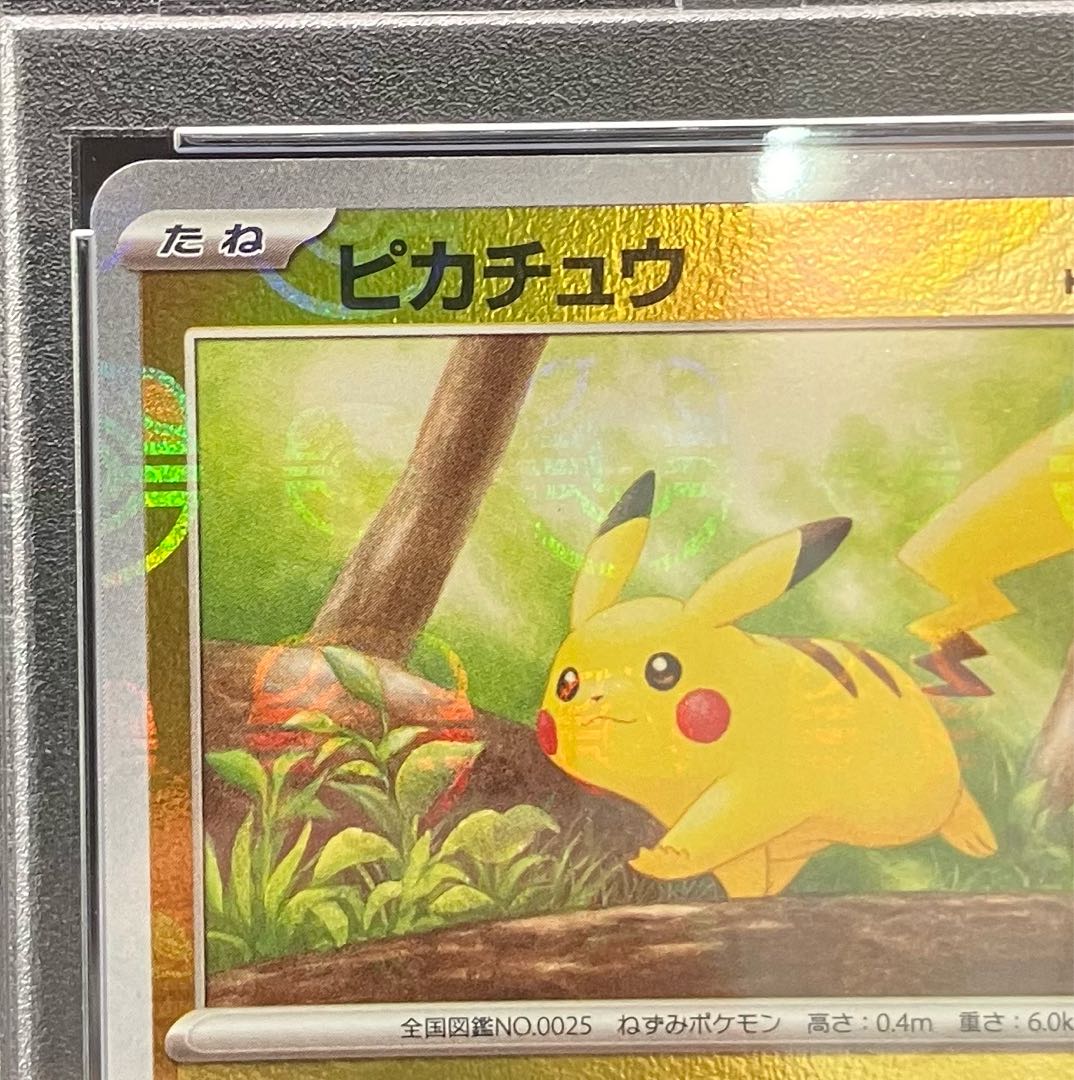 PSA10] Pikachu (Master Ball Pattern/Mirror) C 025/165