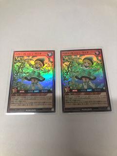 Berry Fresh Rich SR RD/KP18-JP027