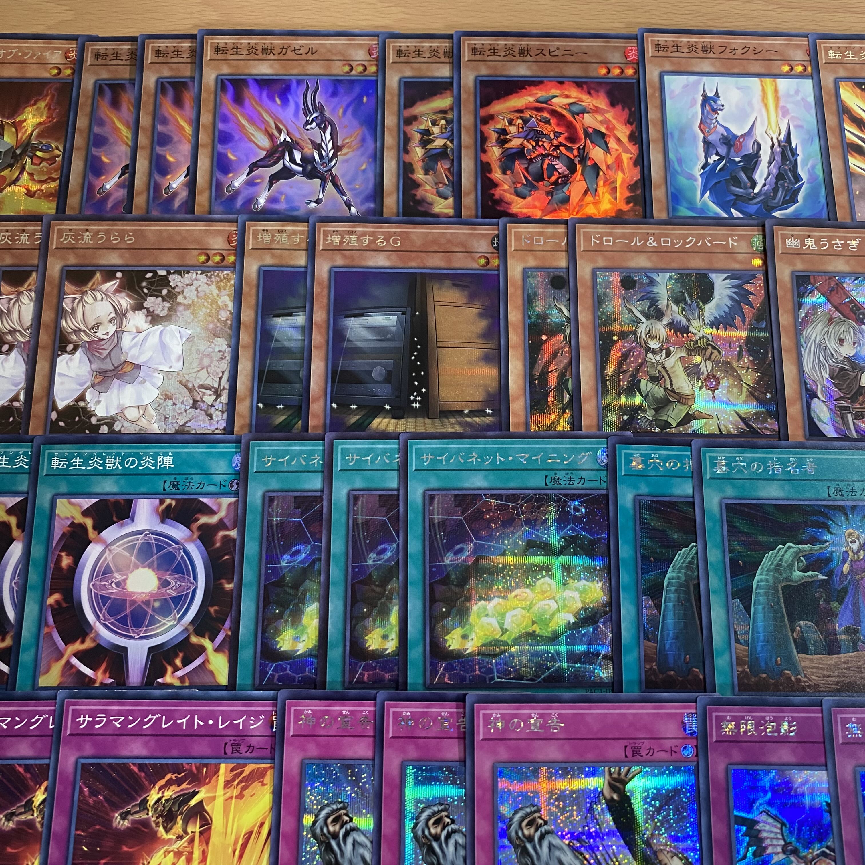 遊戯王 本格構築済みデッキ 転生炎獣 シークレット サラマングレイト 【レイジングフェニックス サンライトウルフ 賜炎の咎姫 灰流うらら 増殖するG 原始生命態ニビル ドロール&ロックバード 墓穴の指名者 抹殺の指名者】