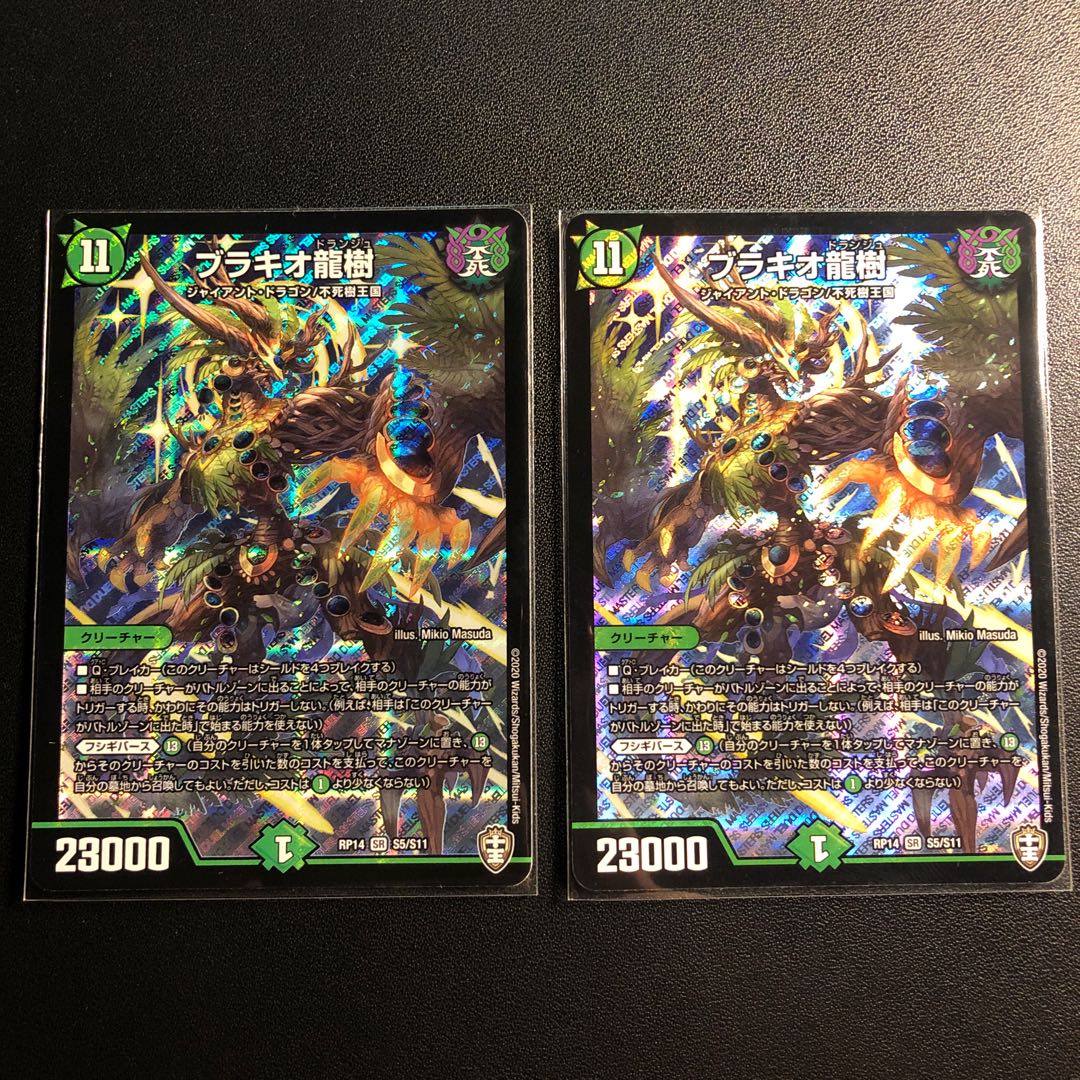 ブラキオ龍樹初期