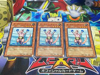 Y-3927 Kangaroo Champ Normal JP016 3枚