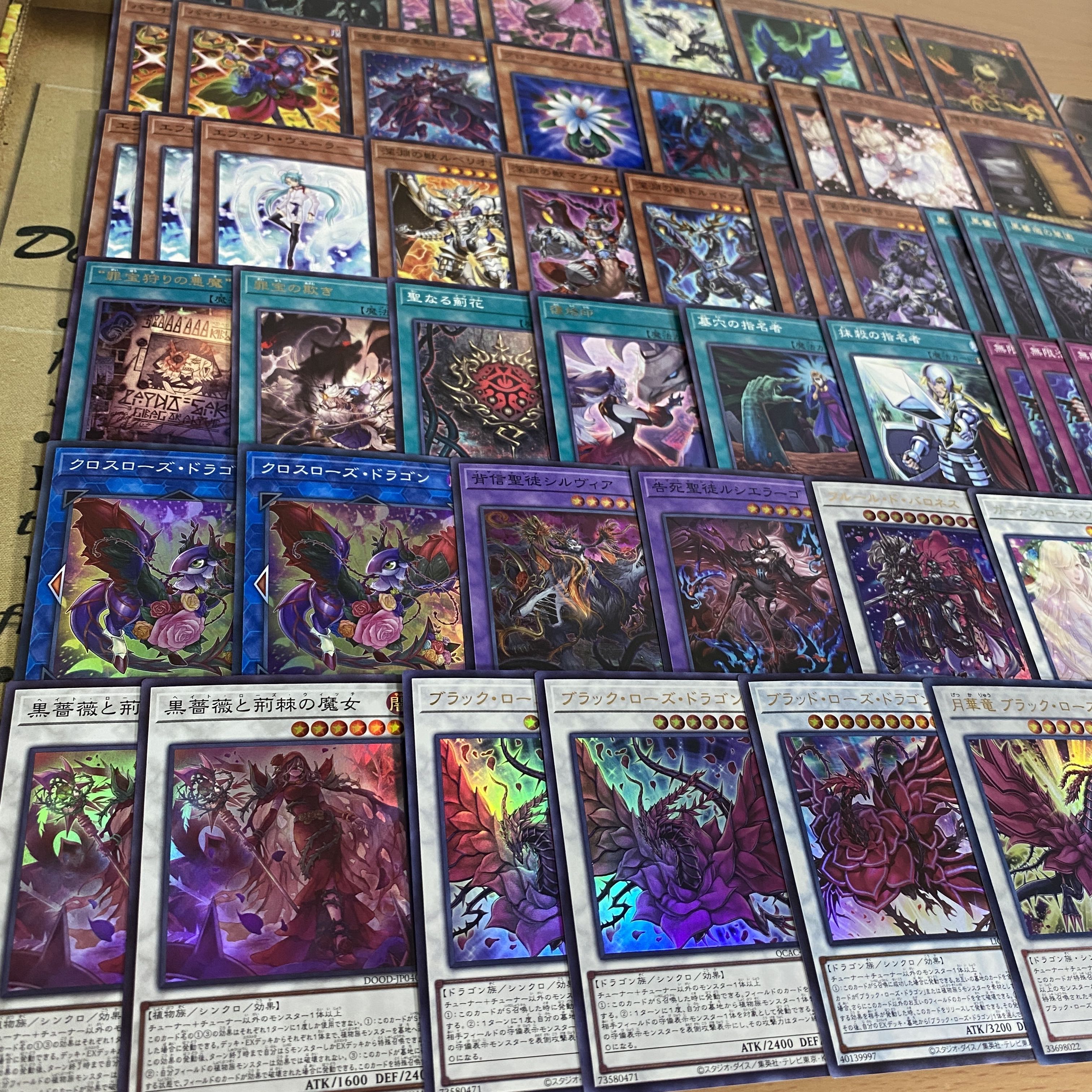 Black Rose Dragon Deck [search below Black Rose Ruination Dragon, Yu-Gi-Oh, authentic construction, early 2nd period, relief, gateball, BLAZING DOMINION]. 1枚