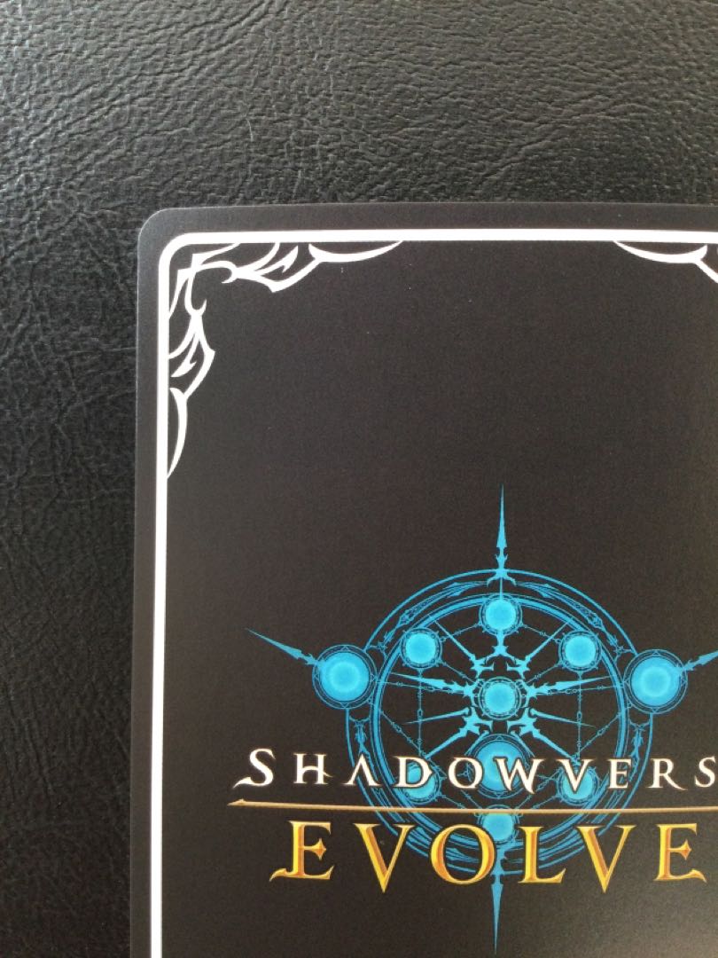 ① 気高き雷・ロマロニア UR DSD01b-U01 1枚