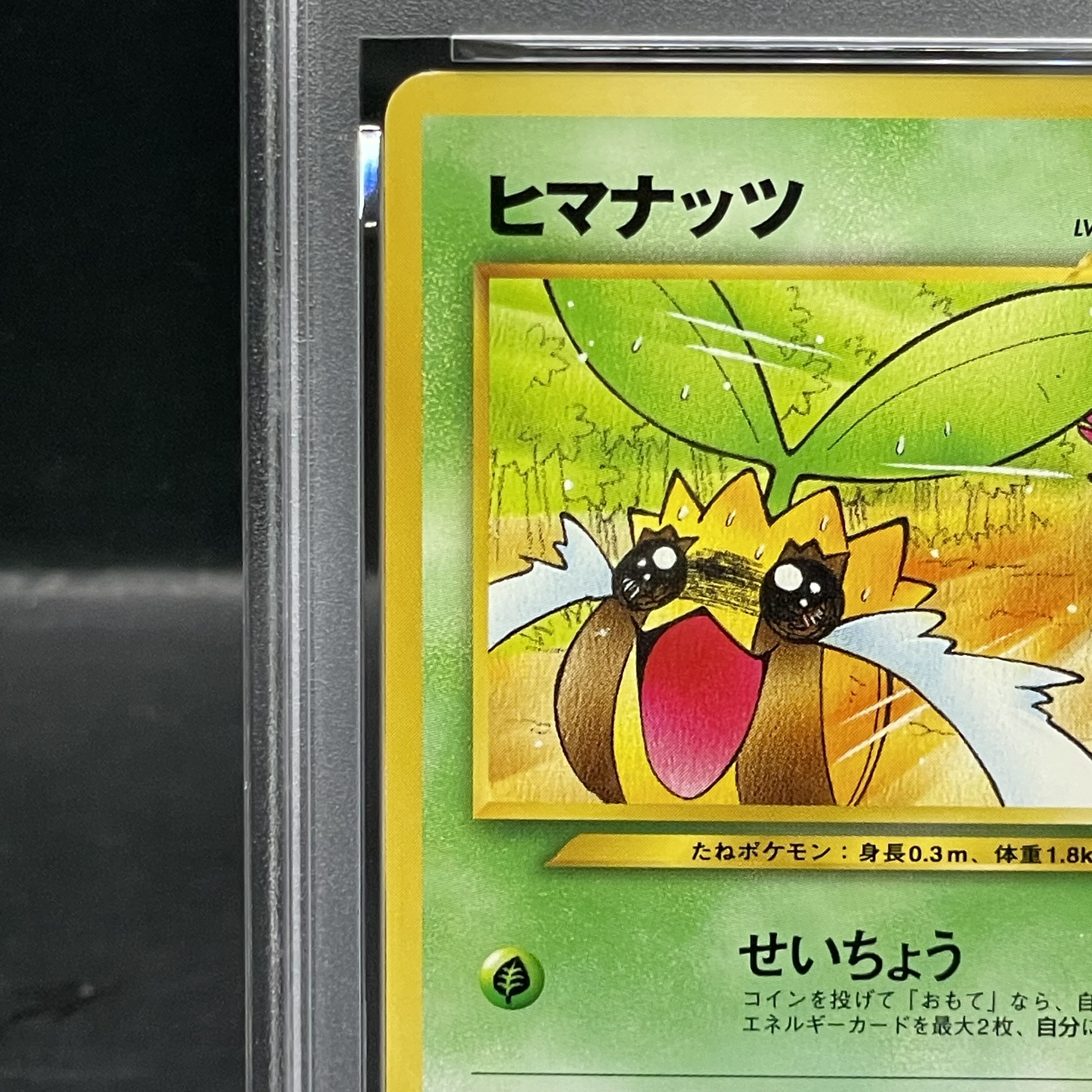 【PSA9】ヒマナッツ 《「ポケモンカードになったワケ 4巻」 おまけカード》 (プロモ) [旧裏] 1枚