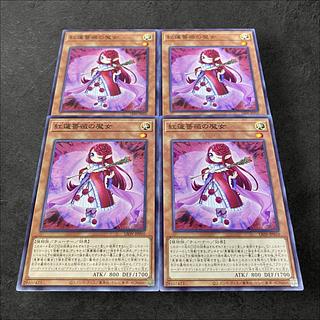 a42 [King of Games] Ruddy Rose Witch 4-card set