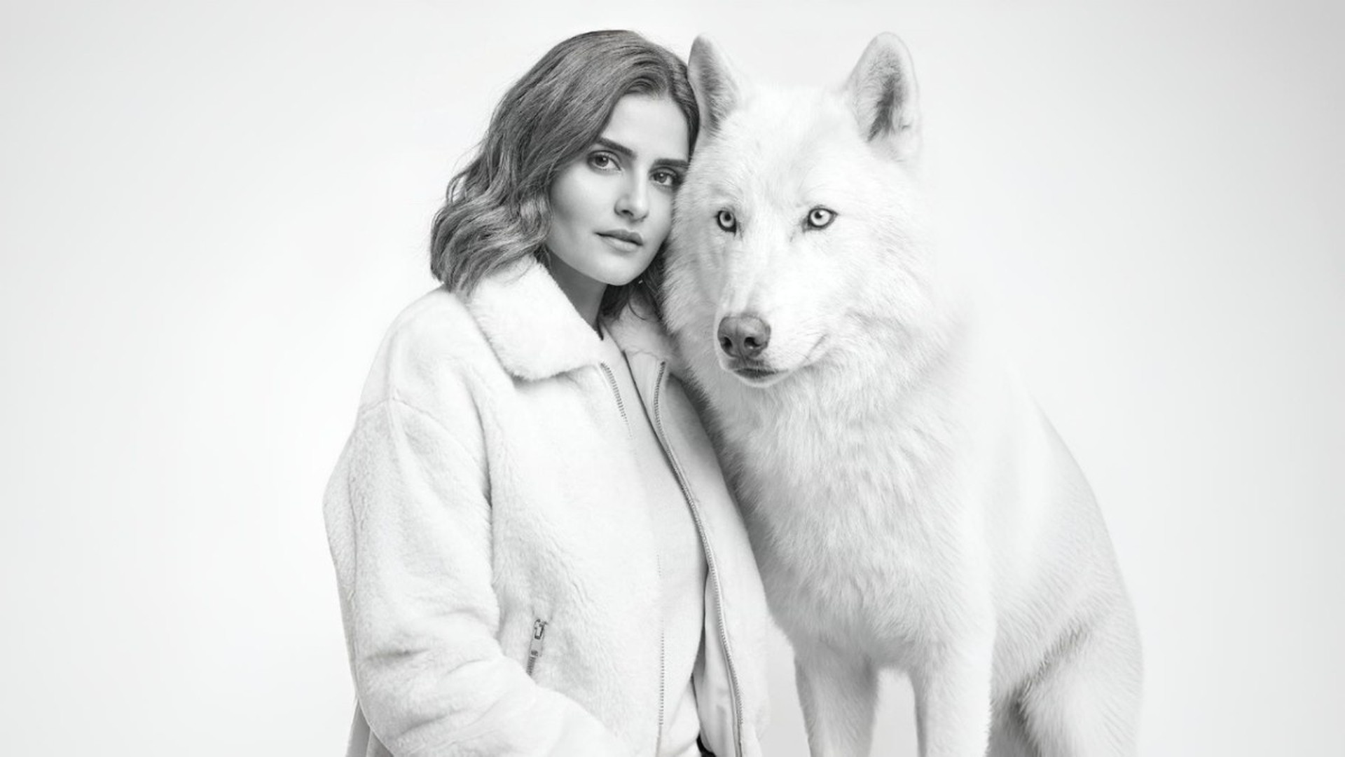 Wolf Arctic