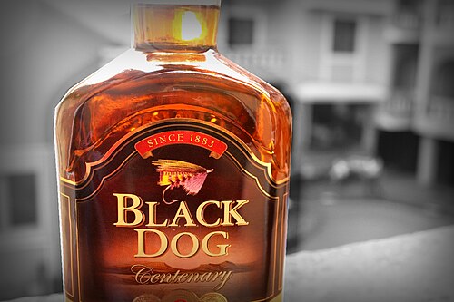 Black Dog Centenary blended Scotch whisky bottle close-up