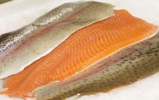 Filet de truite rose