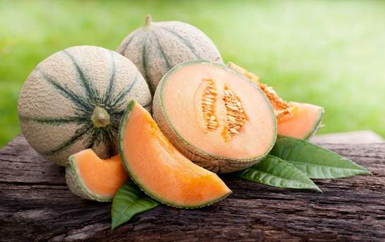 Melon charentais