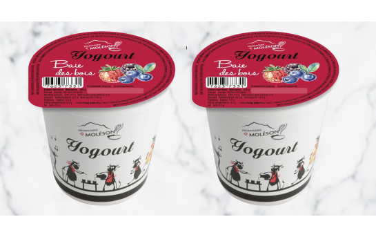 Yogourt baies des bois