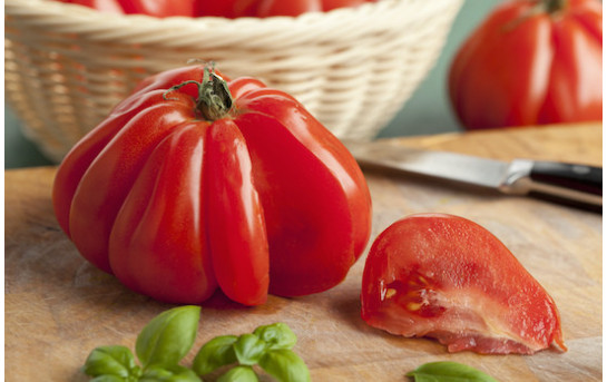 Beefsteak Tomato