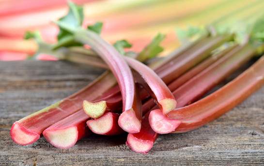 Rhubarbe