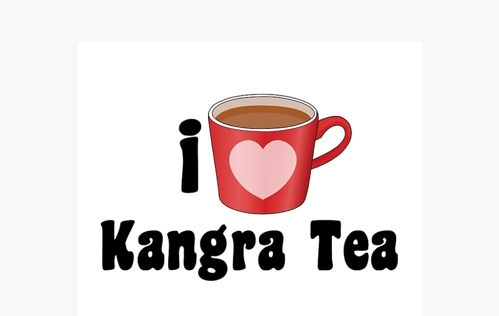 KANGRA HIMACHAL PRADESH 