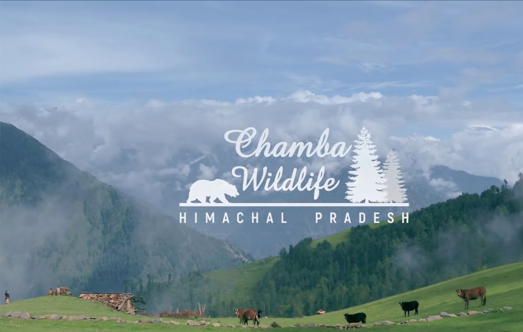 CHAMBA WILD LIFE HIMACHAL PRADESH