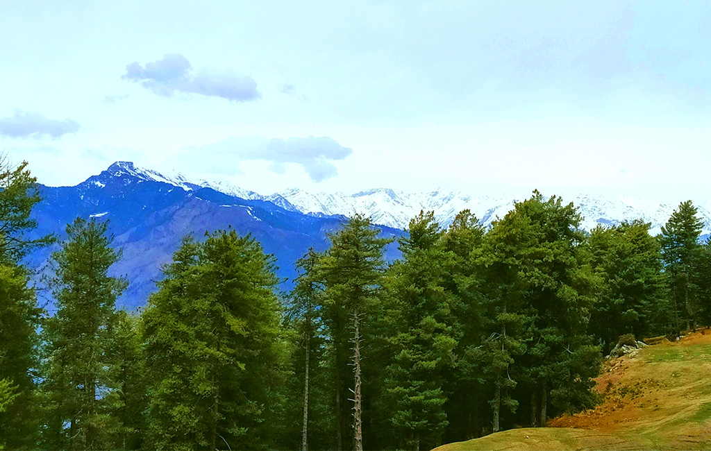 A Memorable Trip to Enjoy the Colors of Himachall