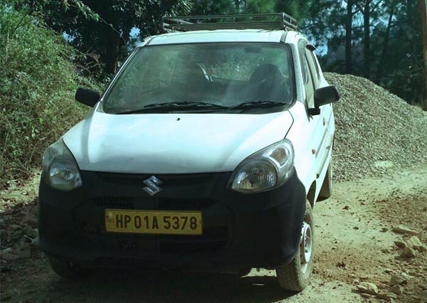 Alto 800