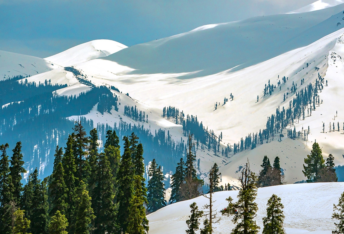 Divine Tour to Jammu