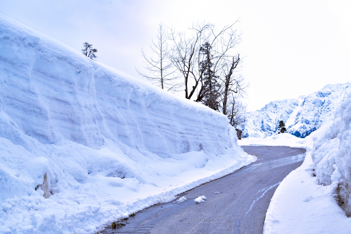 Splendid Delhi-Manali Tour