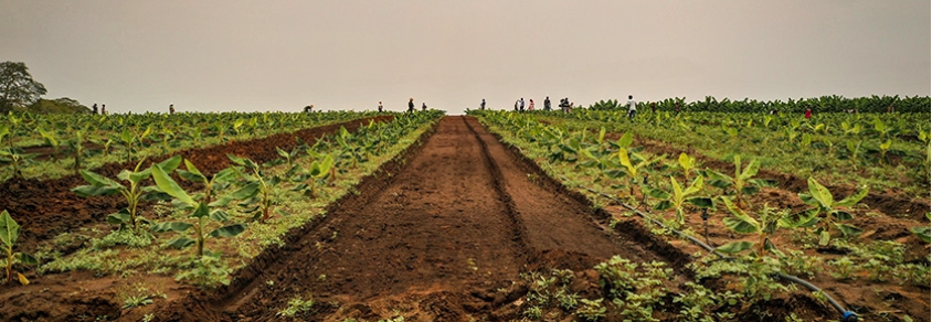 Partners initiate the development of virtual patients to improve nutrition education in Angola