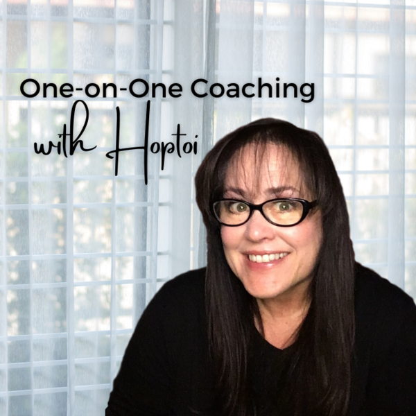 One-on-One Coaching with Hoptoi picture