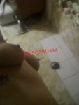 3317978556