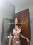 3349253893