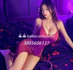 3885606137