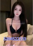 3204522233