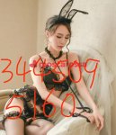 3445095160