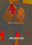 3883910384