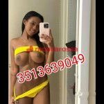 3513639049