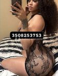 3508253753