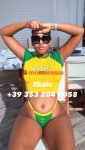 3532041058