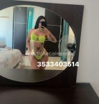 3533403514