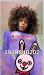 3929840202