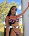 3508804941