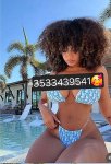 3533439541