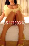 3793276063