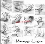 recensione 3511801771