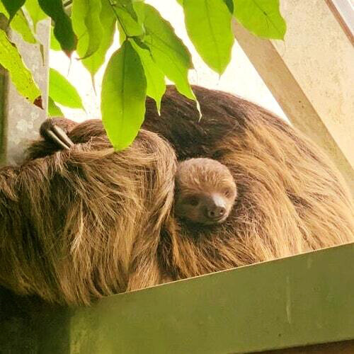 © Zoo Krefeld/dpa