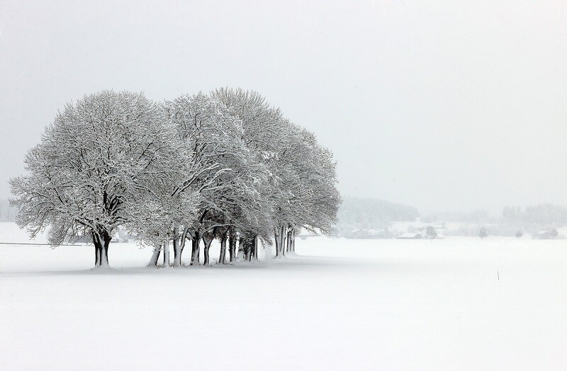 © Karl-Josef Hildenbrand/dpa