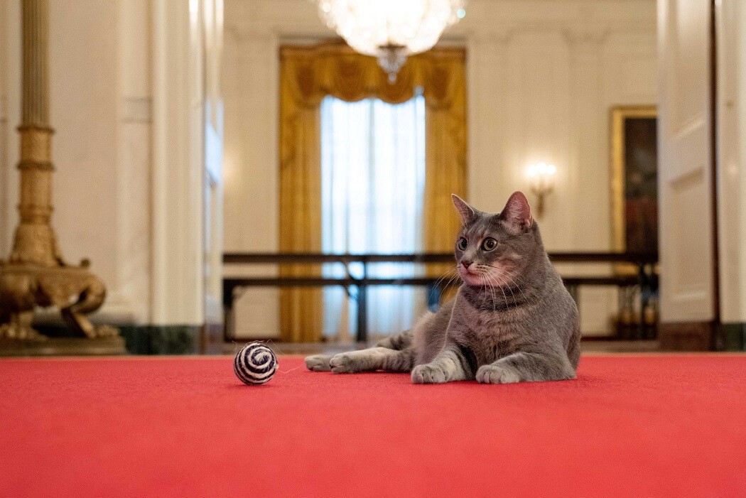 © Erin Scott/The White House/Handout via REUTERS