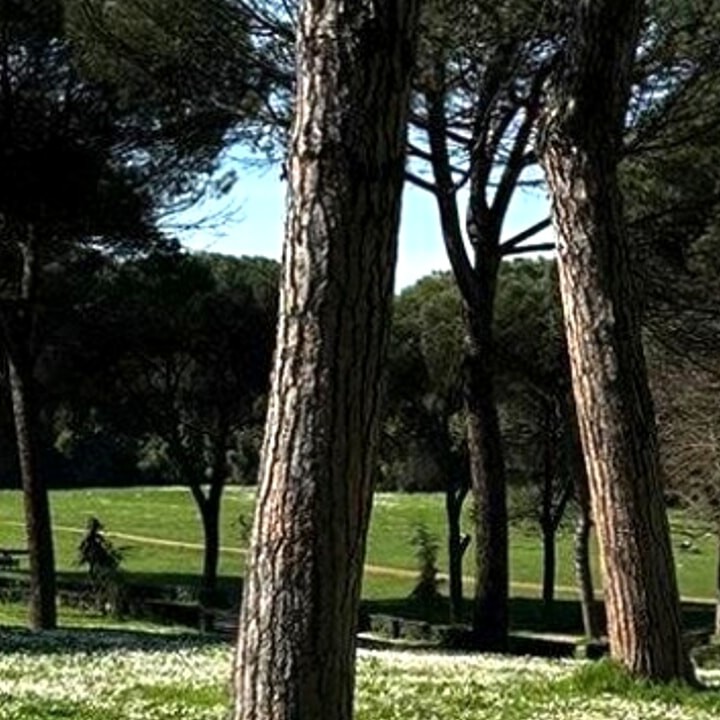 Global Wellness Day al Six Senses Rome 