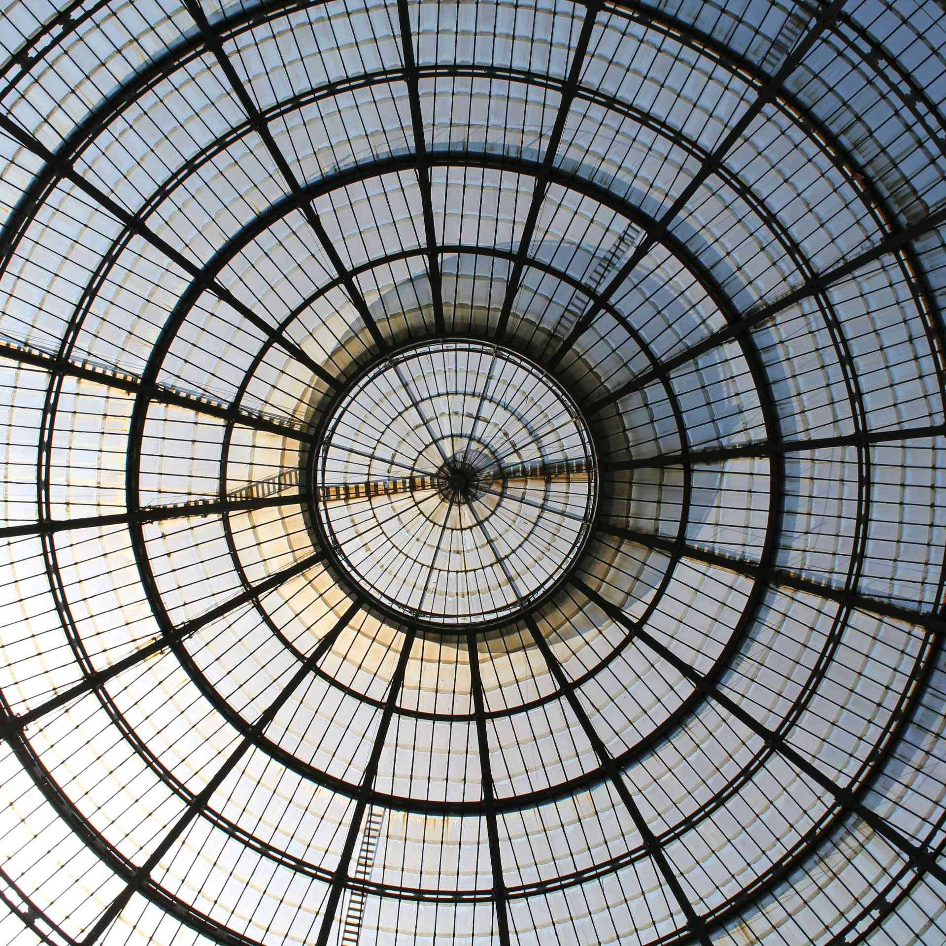 I superisolati. Come cambiare tutto senza cambiare niente - S. Rueda