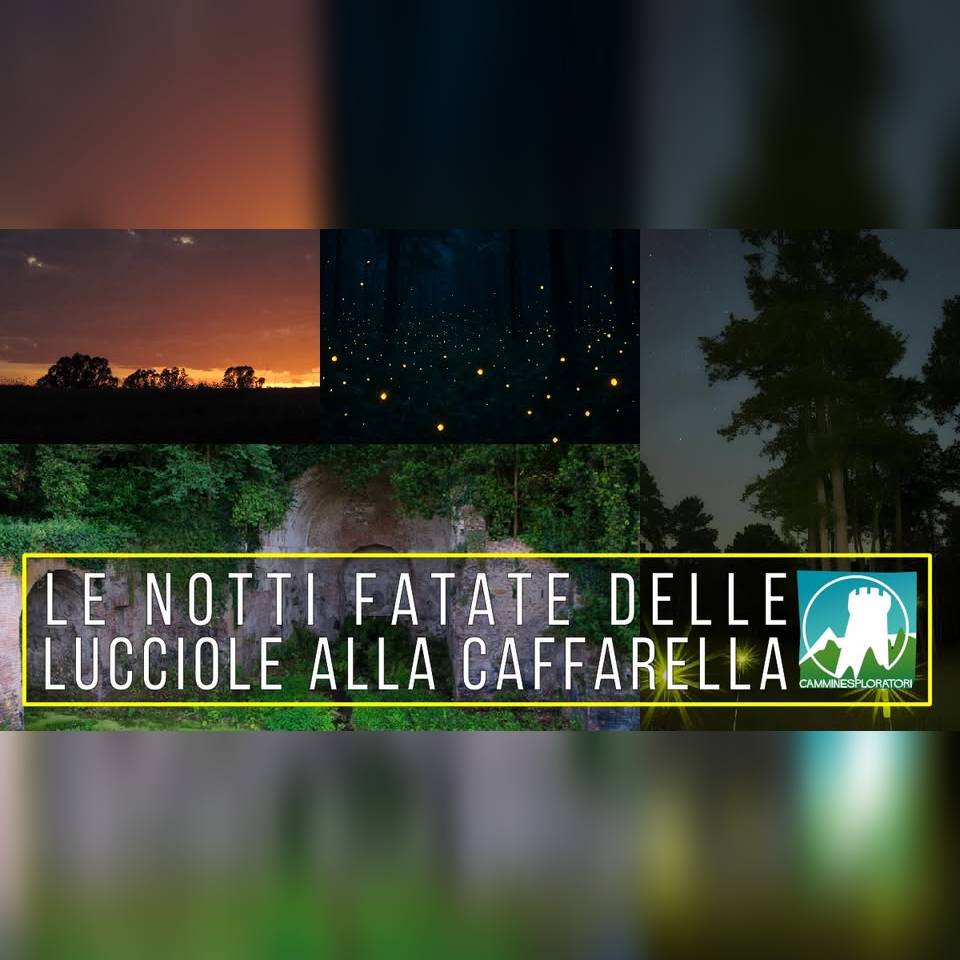 AL COMPLETO Le Notti Fatate delle Lucciole alla Caffarella